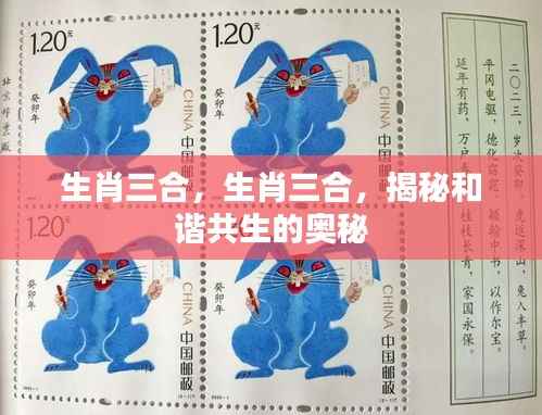 揭秘生肖三合和谐共生的奥秘与秘密