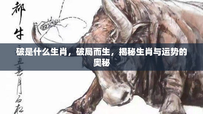 揭秘生肖运势之谜,破局而生的奥秘与生肖解析