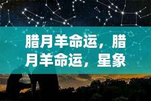 腊月羊命运,星象指引下的命运展望解析