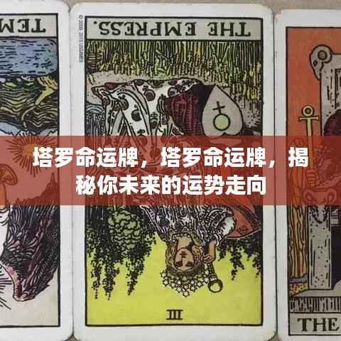 塔罗命运牌,揭秘未来运势走向的神秘指引