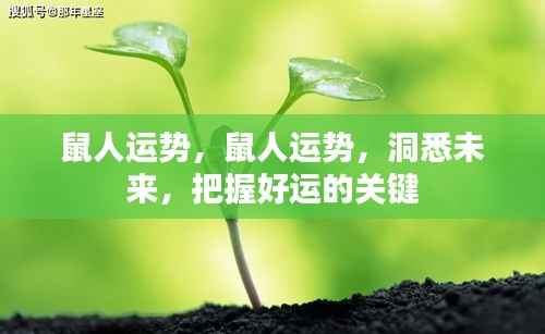 鼠年运势揭秘,洞悉未来走向,掌握好运关键之道