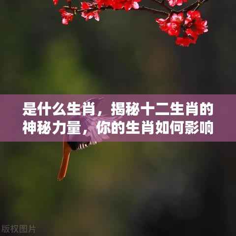 揭秘十二生肖的神秘力量,生肖如何影响你的性格与运势?