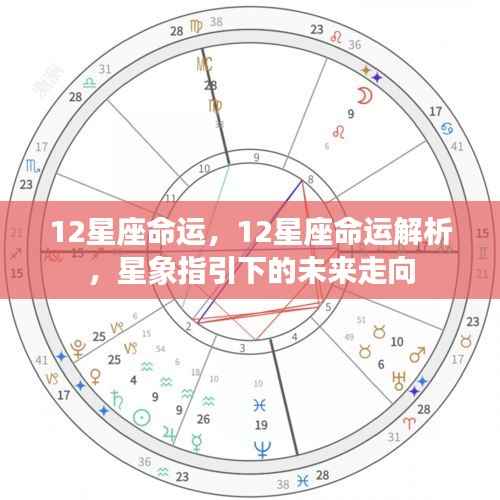 星象指引下的未来走向，揭秘十二星座的命运解析