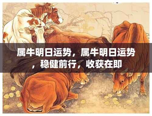属牛明日运势展望,稳健前行,收获在即