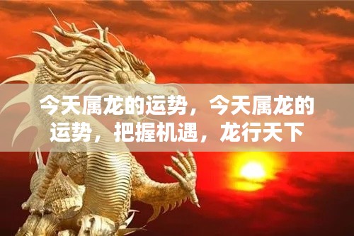 今日属龙运势概览,把握机遇,龙腾四海