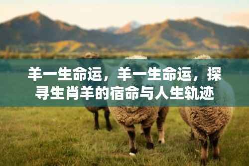 生肖羊的宿命与人生轨迹探寻,羊一生命运解析