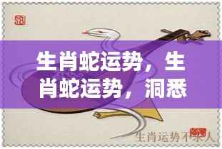 生肖蛇运势揭秘,洞悉未来走向,掌握好运关键