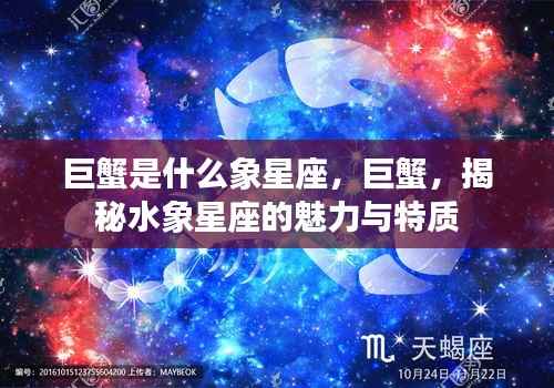 揭秘巨蟹座,水象星座的魅力与特质探究