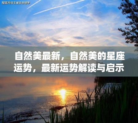 自然美的星座运势最新解读,启示与预测