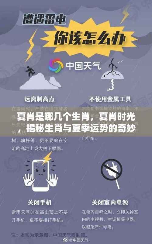 揭秘夏肖生肖与夏季运势的奇妙缘分时光