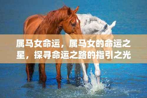 属马女的命运之星，探寻命运之路的指引之光