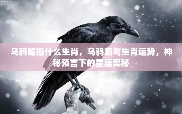 乌鸦嘴与生肖运势,揭秘星座奥秘中的预言力量