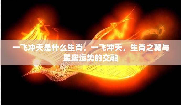 生肖一飞冲天,揭秘生肖之翼与星座运势的神秘交融