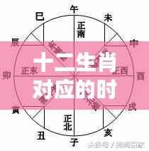 揭秘十二生肖时辰运势与时间的神秘联系，生肖时辰解读指南