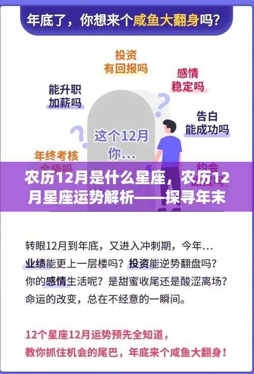 农历12月星座运势解析,探寻年末星座奥秘