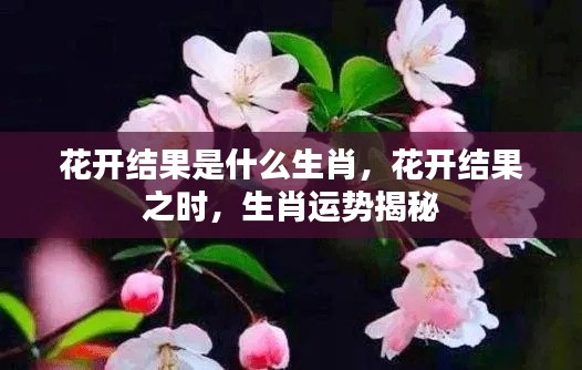 花开结果之时揭秘生肖运势,花开结果生肖运势展望