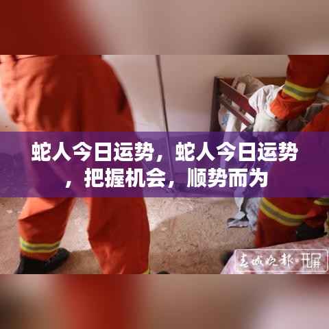 蛇人今日运势揭秘,把握机会,顺势而为,开启好运之门