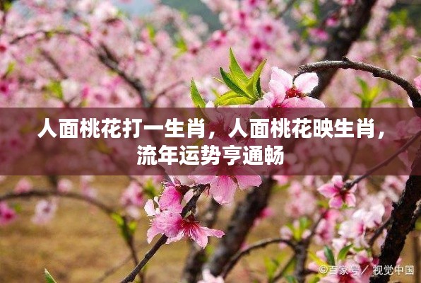人面桃花映生肖,流年亨通畅,运势大吉