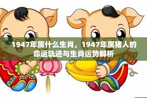 1947年属猪人的命运与生肖运势深度解析