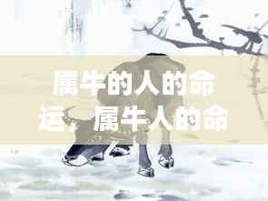 属牛人的命运走势,稳健前行,收获与成长共舞