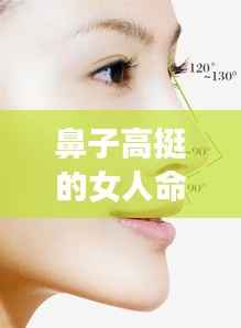 鼻子高挺的女人命运探究与解析