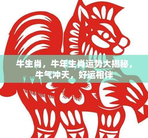 牛年生肖运势揭秘,牛气冲天,好运连连相伴