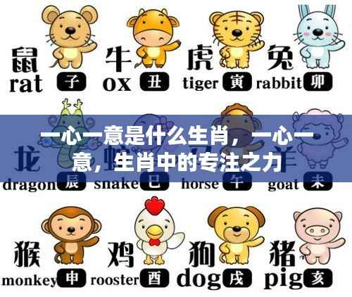 一心一意,生肖中的专注与忠诚之力