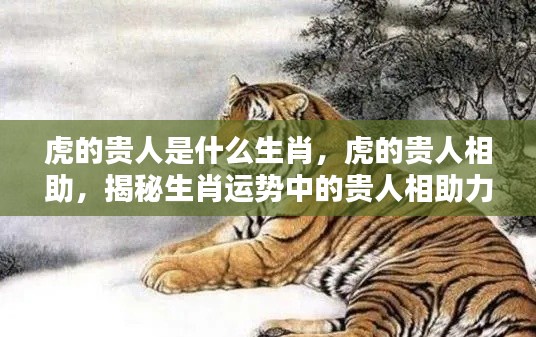 揭秘生肖虎贵人相助的神秘力量,贵人属相全解析
