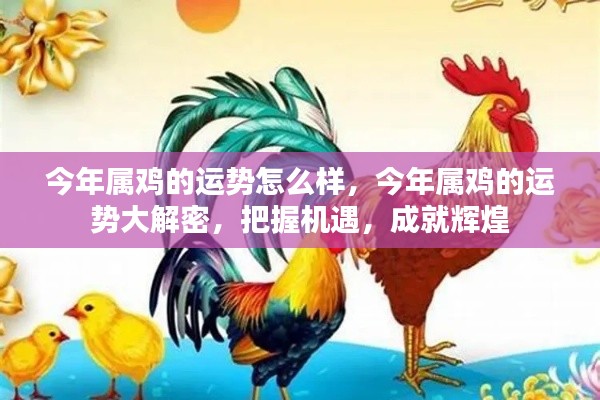 今年属鸡的运势揭秘,把握机遇,成就辉煌人生