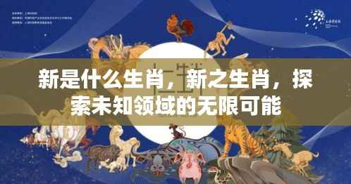 揭秘生肖新之谜,探索未知领域的无限潜能