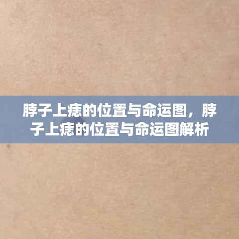 脖子上痣的位置与命运解析图,揭示痣相与命运关联的秘密