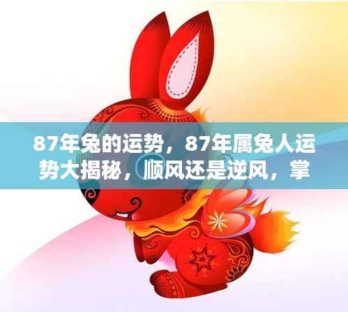 揭秘87年属兔人的运势走向,顺风还是逆风?