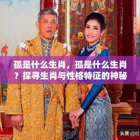 孤的生肖属性与性格特征,探寻生肖与性格的神秘关联