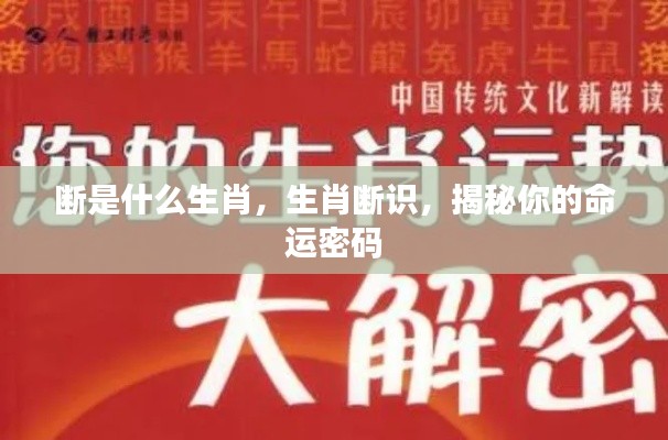 揭秘生肖断识,探寻命运密码与生肖断之奥秘