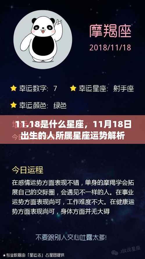 11月18日出生者的星座运势解析,揭秘性格与未来走向