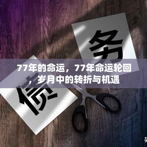 岁月轮回下的转折与机遇,探寻命运中的77年之谜