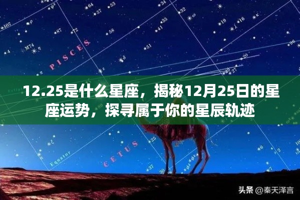 揭秘12月25日星座运势,探寻属于你的星辰轨迹与星座特性