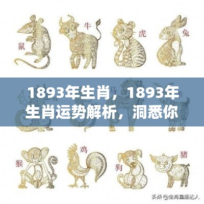 1893年属相运势深度解析,洞悉未来走向的生肖运势指南