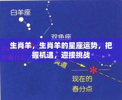 生肖羊运势指南,把握机遇,迎接挑战,星座运势解析