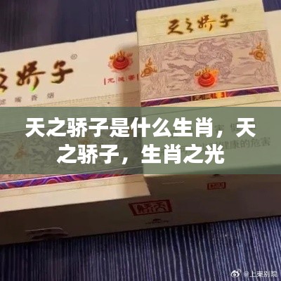 天之骄子的生肖之谜,探寻生肖之光