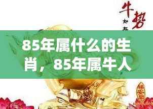 85年属牛人的生肖运势全面解密