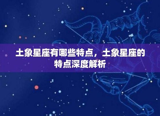 土象星座深度解析,独特性格与特点探究