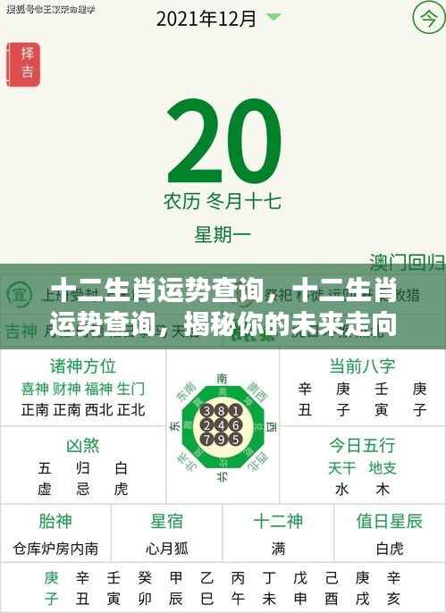 揭秘十二生肖未来运势走向,全面解析你的运势查询!