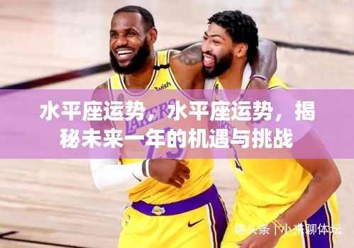 揭秘水平座未来一年运势,机遇与挑战并存