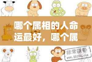 揭秘十二生肖运势奥秘,哪个属相命运最佳?