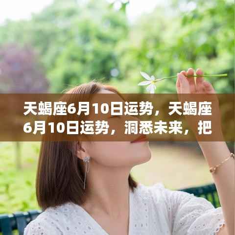 天蝎座6月10日运势详解,洞悉未来,把握机遇,赢在运势之巅