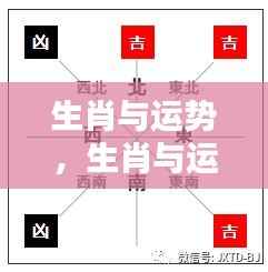 揭秘十二生肖运势走势与吉凶预测