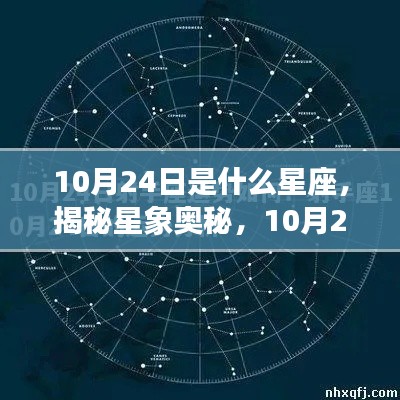 揭秘星象奥秘,10月24日星座运势解读与特征分析