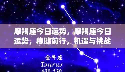摩羯座今日运势,稳健前行,机遇挑战并存