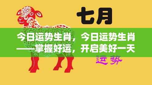 今日运势生肖揭秘,掌握好运,开启一天美好运势之旅